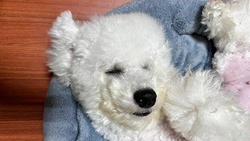 「如果停藥了，就會又開始癢，試了那麼多種保健品，終於讓我的小寶貝過敏性皮膚得到幫助」