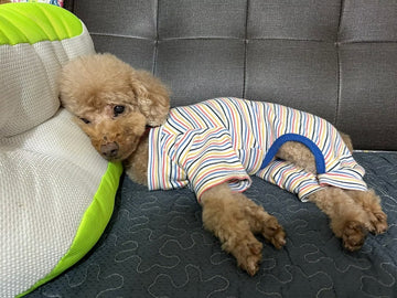 「本來應該會影響生命時程和生活品質的腫瘤，暫時被控制住了」